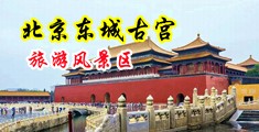 在线视频粉色BB被操得通红中国北京-东城古宫旅游风景区